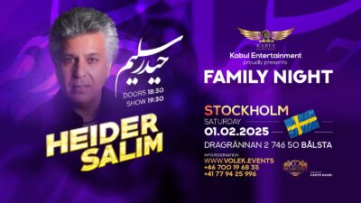 Family Night Party in Stockholm