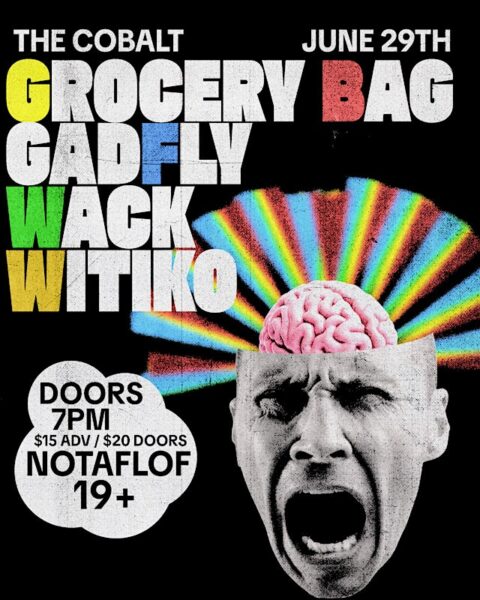 GROCERY BAG w/ GUESTS